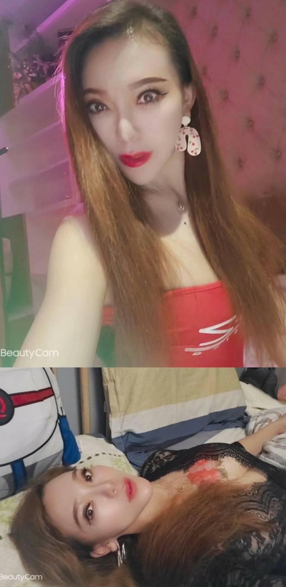 杭州名凤青蛇
